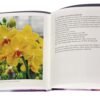 ukázka knihy phaaenopsis