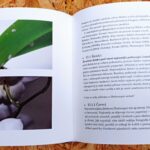 škůdci - kniha phalaenopsis orchidej