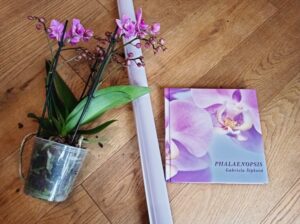 orchidej a kniha skvělý dárek