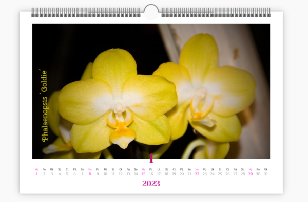kalendář orchidejí leden 2023