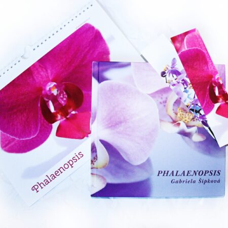 kalendář orchidejí 2023, kniha phalaenopsis