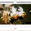 kalendář orchidejí 2023