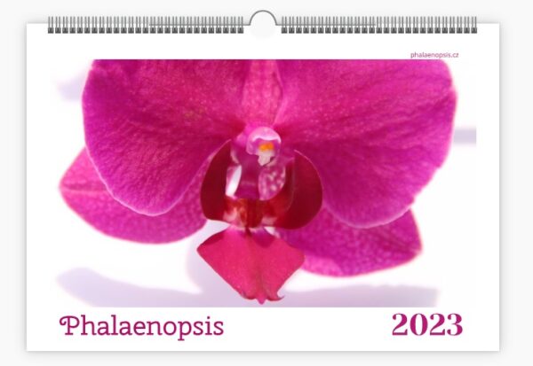 kalendář orchidejí Phalaenopsis 2023