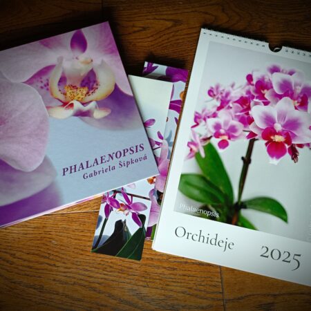 kniha phalaenopsis kalendář orchidejí 2025