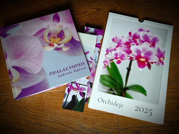 kniha phalaenopsis kalendář orchidejí 2025