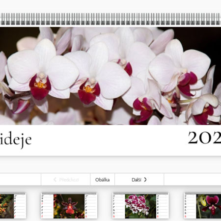 stolní kalendář orchidejí 2025