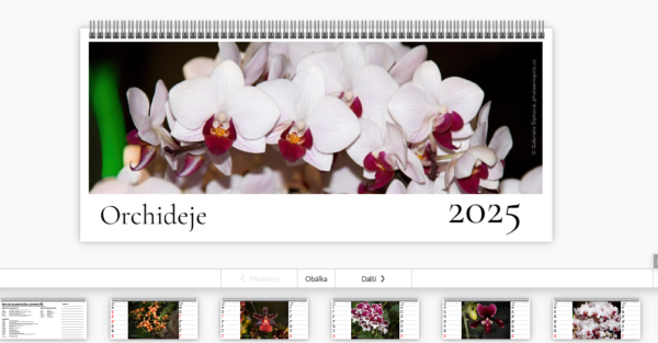 stolní kalendář orchidejí 2025