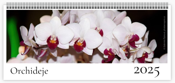 Stolní kalendář Orchideje 2025