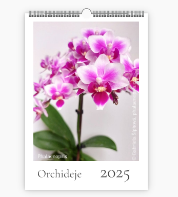 kalendář orchidejí 2025